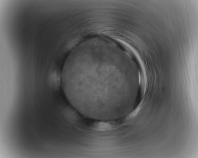 X0000099980180200805301400