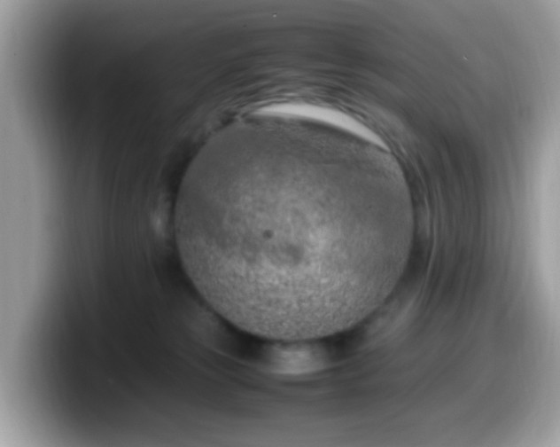 X0000099980181200805301400