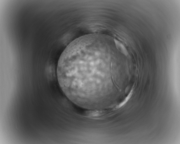 X0000099980182200805301400