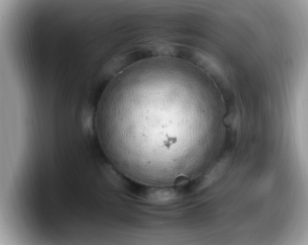 X0000099980185200805301400