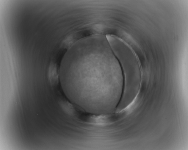 X0000099980186200805301400