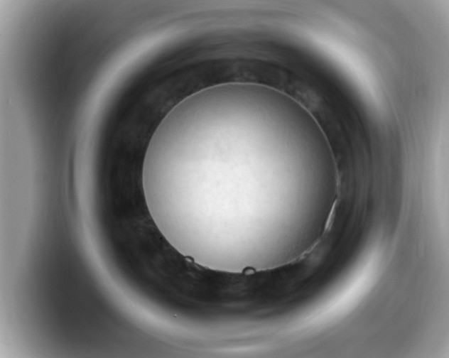 X0000099980191200805301401