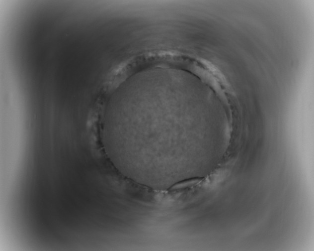 X0000099980192200805301401