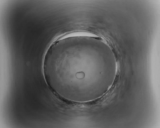 X0000099980195200805301400