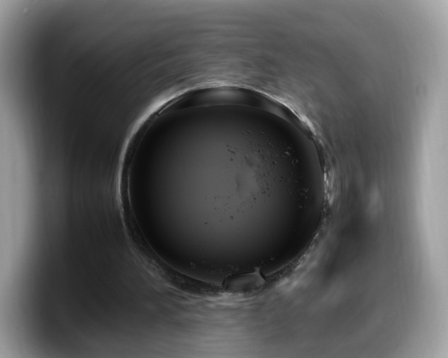 X0000099980196200805301400