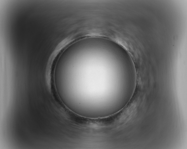 X0000099980199200805301400