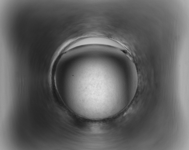 X0000099980200200805301400