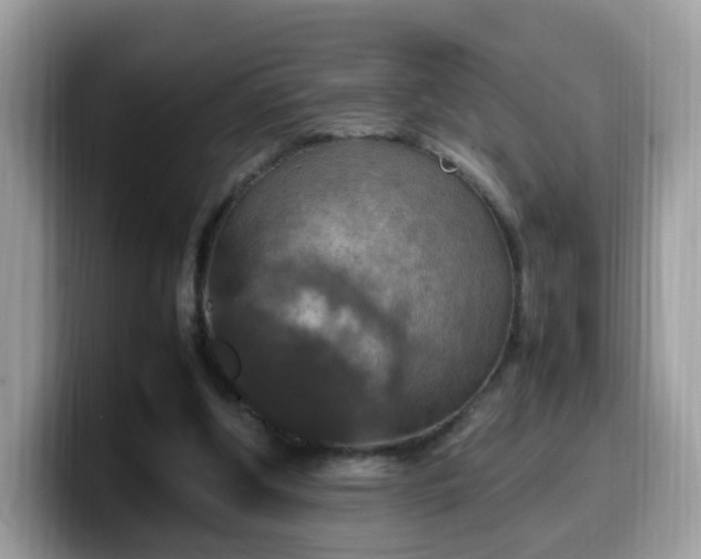 X0000099980202200805301400