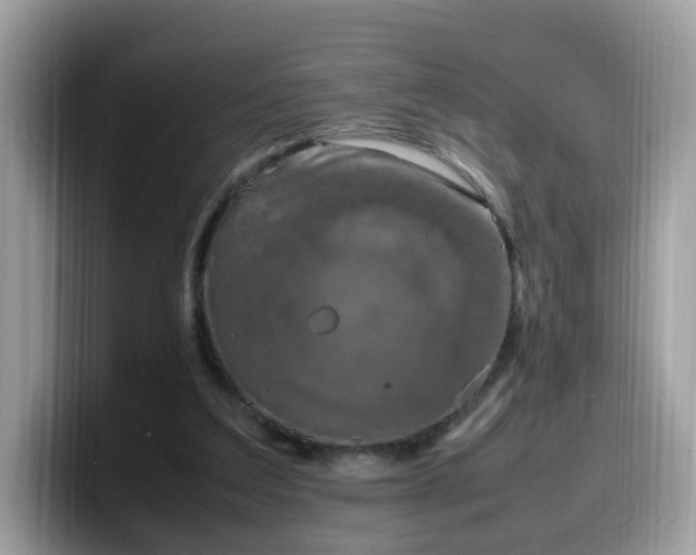 X0000099980203200805301400