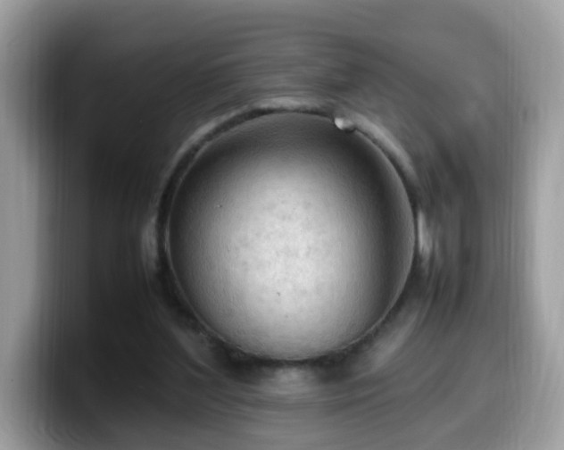 X0000099980204200805301400