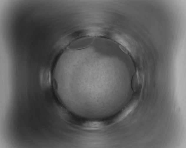 X0000099980205200805301400