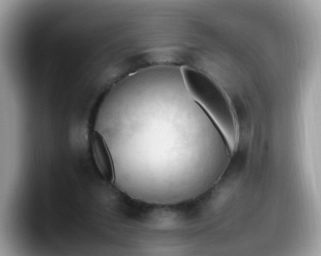 X0000099980207200805301400