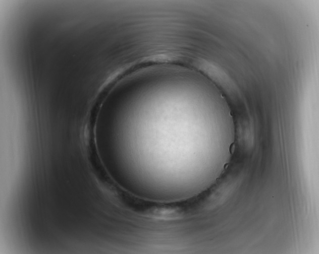 X0000099980208200805301400