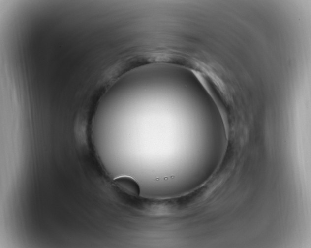 X0000099980209200805301400