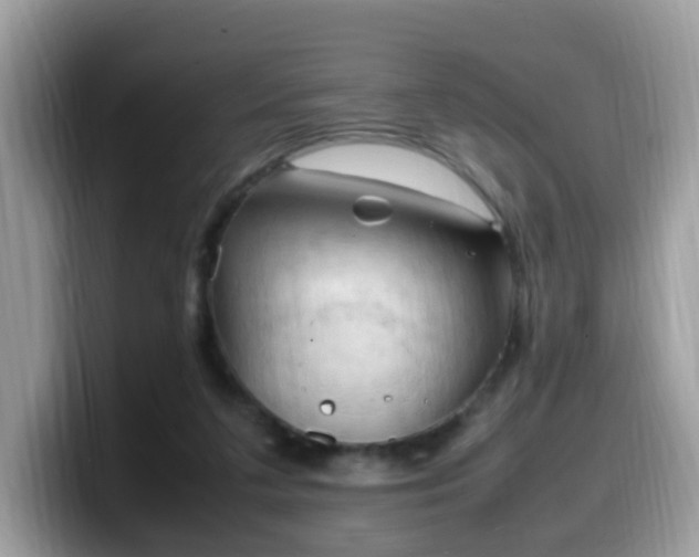 X0000099980211200805301400