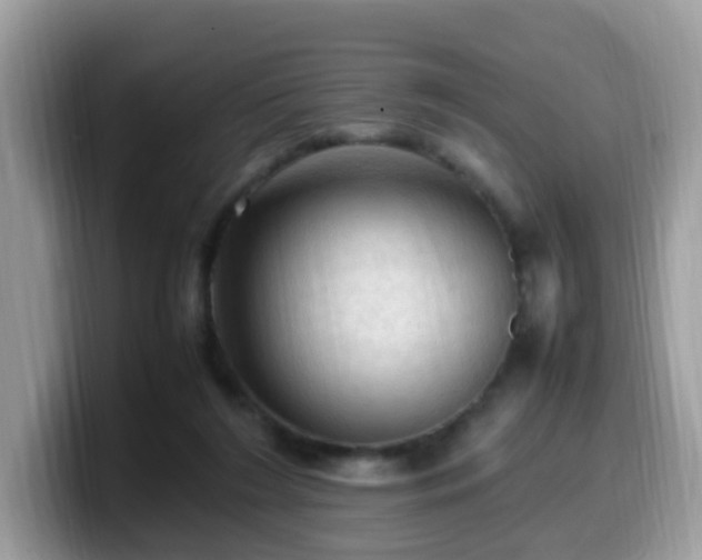 X0000099980212200805301400