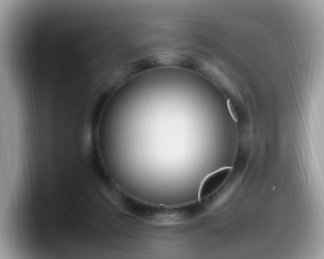 X0000099980213200805301400