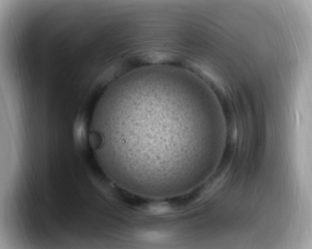 X0000099980214200805301400