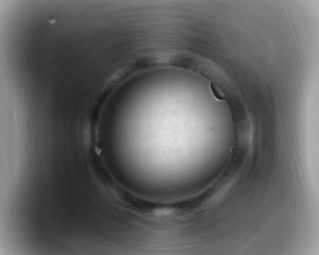 X0000099980216200805301400