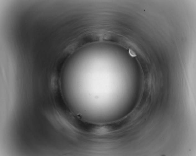 X0000099980218200805301400