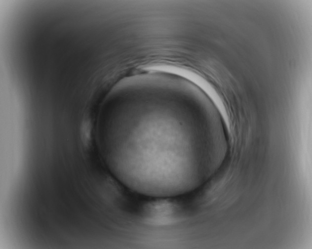 X0000099980219200805301400