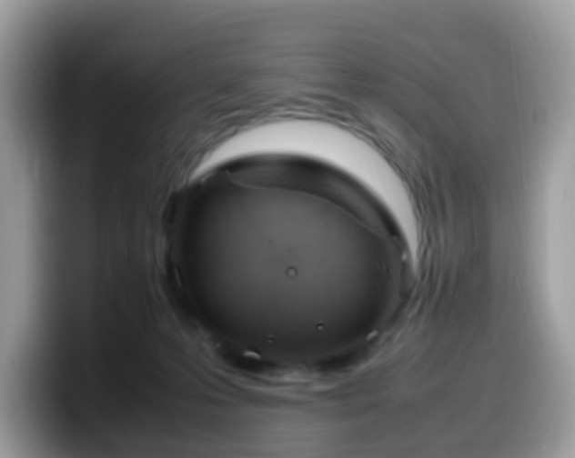 X0000099980223200805301400