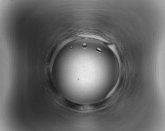 X0000099980225200805301400