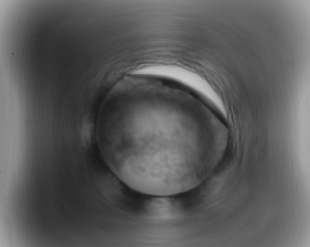 X0000099980227200805301400