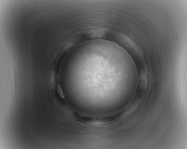 X0000099980228200805301359