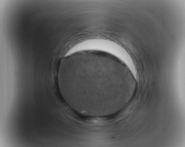 X0000099980229200805301359