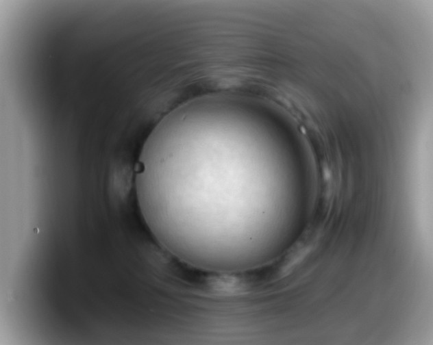 X0000099980230200805301359