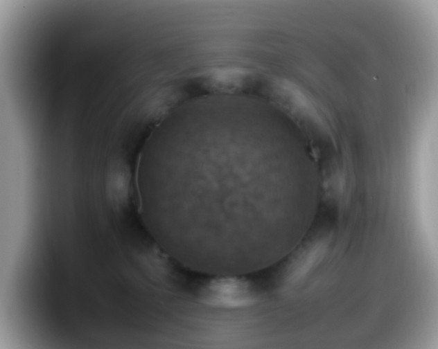 X0000099980231200805301359