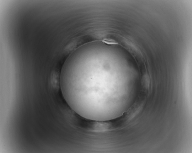 X0000099980234200805301359