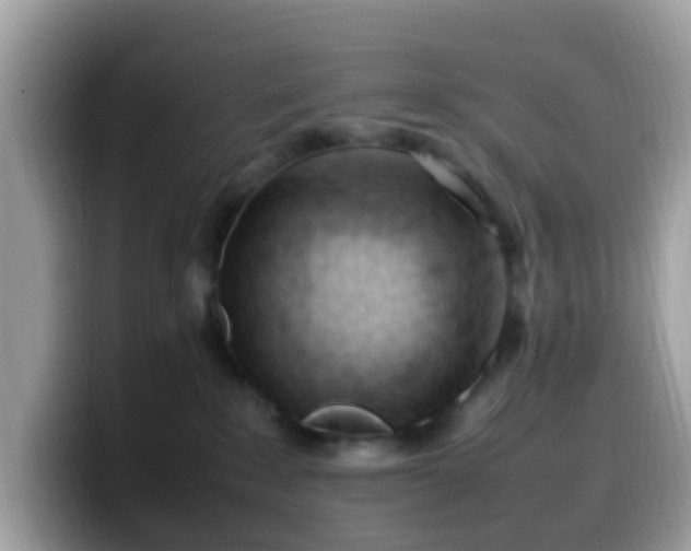 X0000099980235200805301359