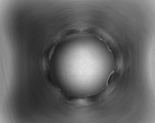 X0000099980236200805301359