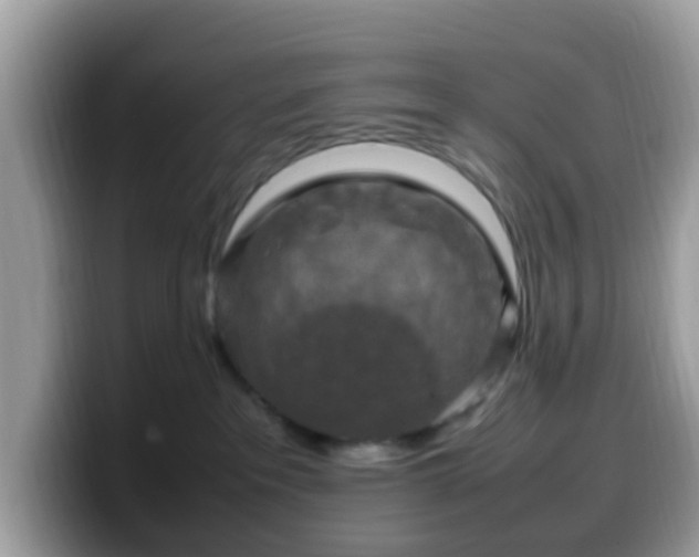 X0000099980237200805301359