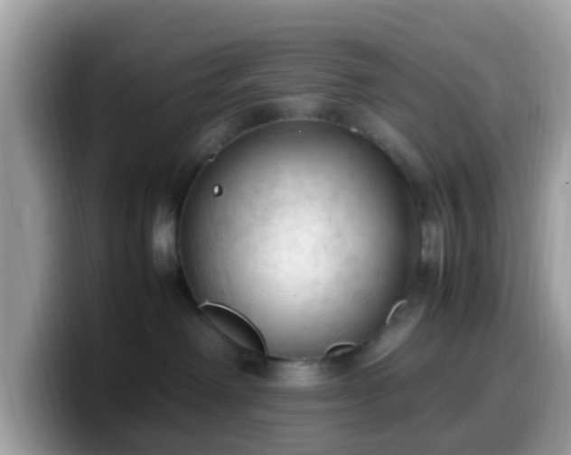 X0000099980238200805301359