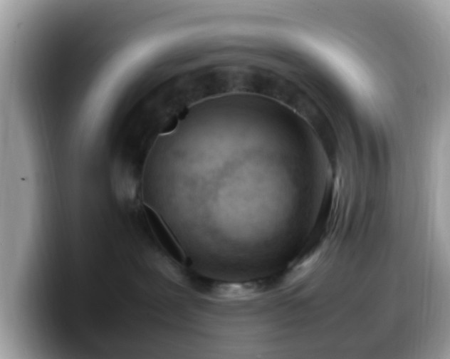 X0000099980239200805301359