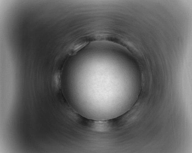 X0000099980240200805301359