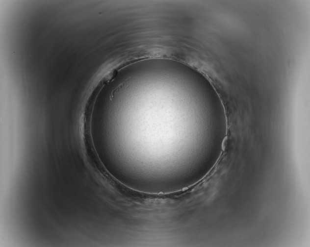 X0000099980242200805301359