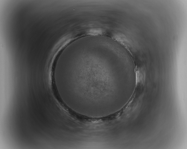 X0000099980243200805301359