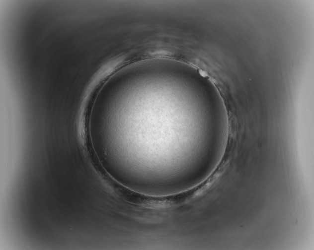 X0000099980245200805301359