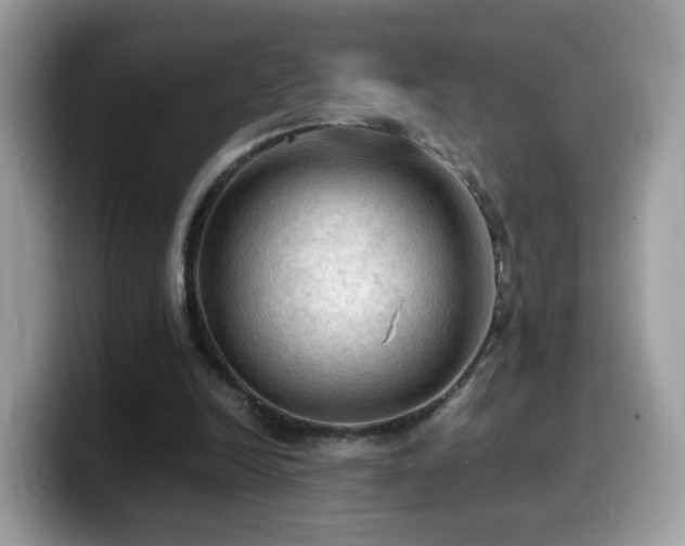 X0000099980246200805301359