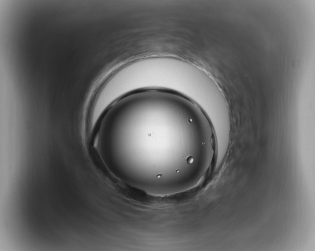 X0000099980248200805301359