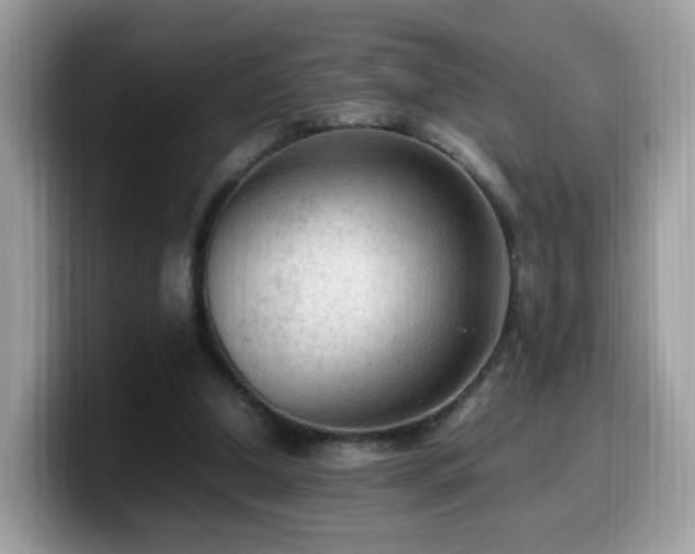 X0000099980250200805301359