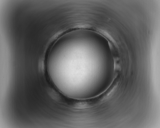 X0000099980252200805301359