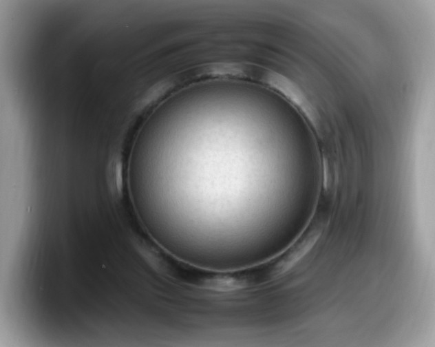 X0000099980253200805301359