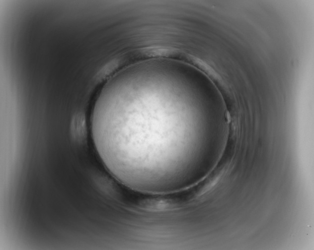 X0000099980254200805301359