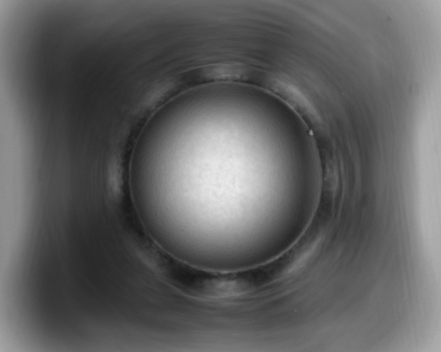 X0000099980255200805301359