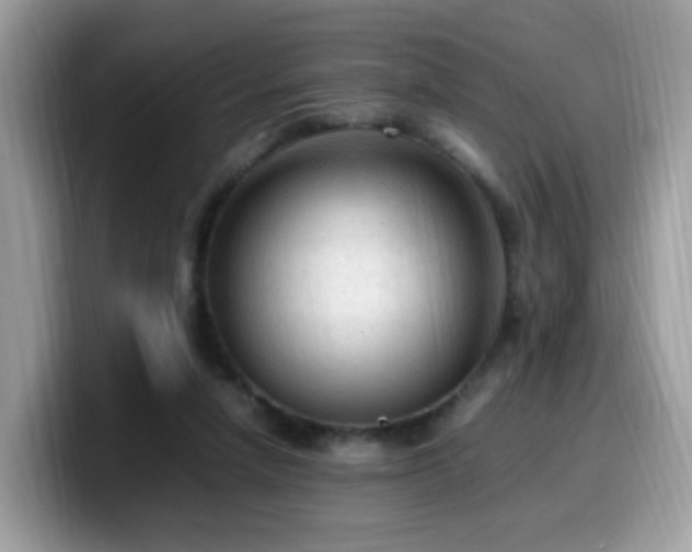 X0000099980258200805301359